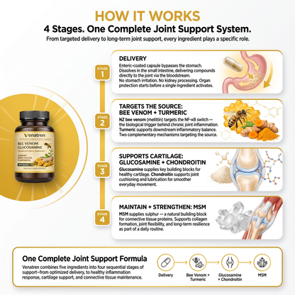 Venatren Bee Venom & Glucosamine 5-in-1 Joint Health Capsules
